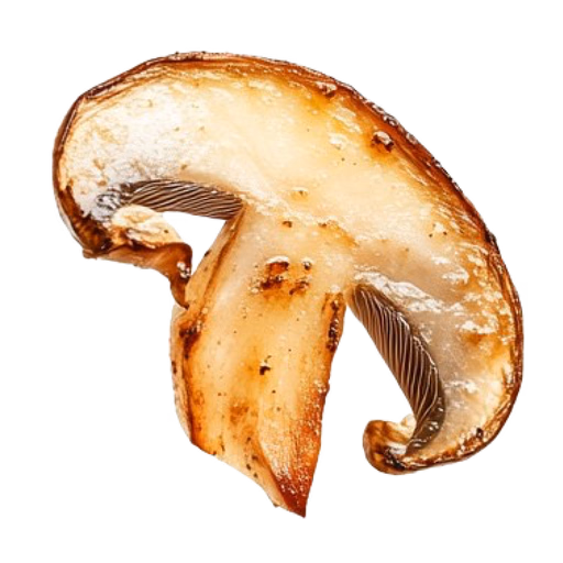 mushroom_2