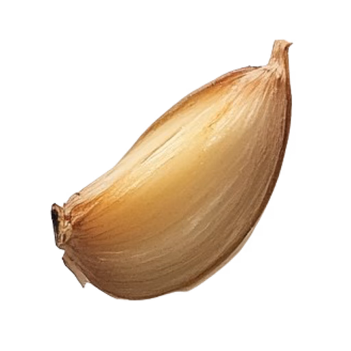garlic_3